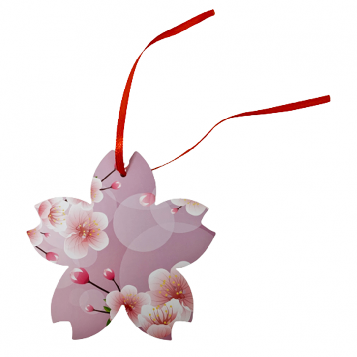 Sakura Card 樱花许愿卡