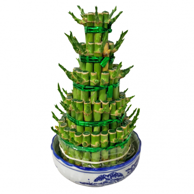 CNY Lucky Bamboo 5-Tier Arrangement 富貴竹 (2585)