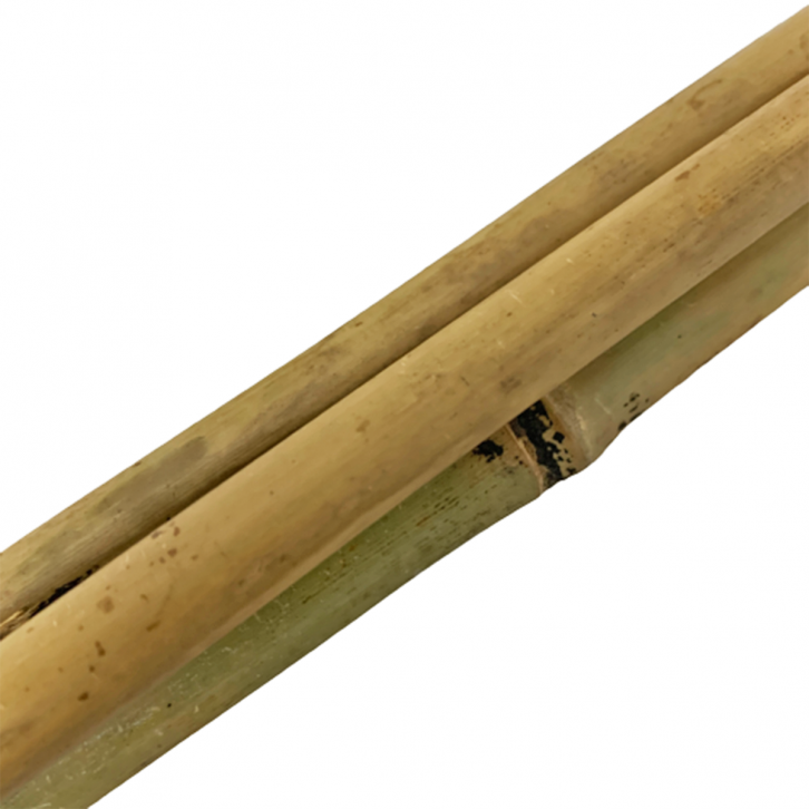 Bamboo Support Pole