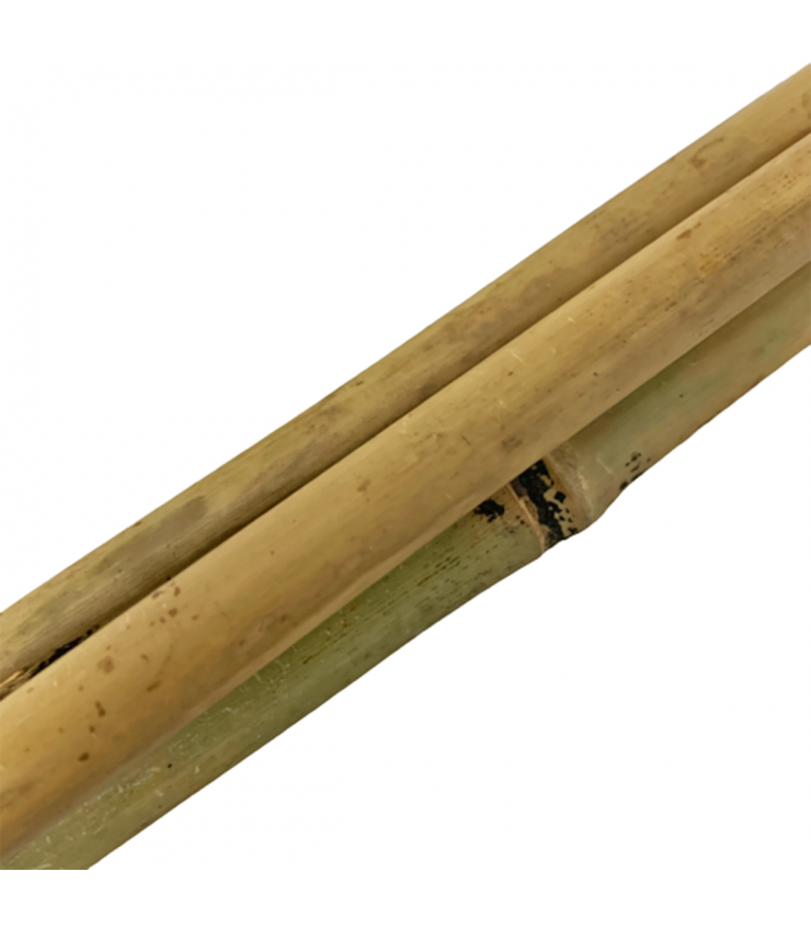 Bamboo Support Pole