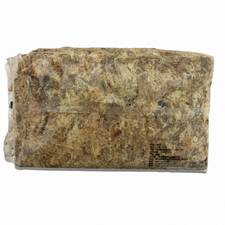 Sphagnum Moss 春禄 水苔