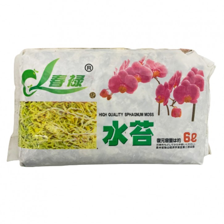 Sphagnum Moss 春禄 水苔