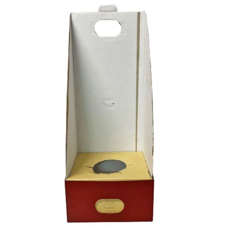 Phalaenopsis Orchid Gift Box (BOX only)