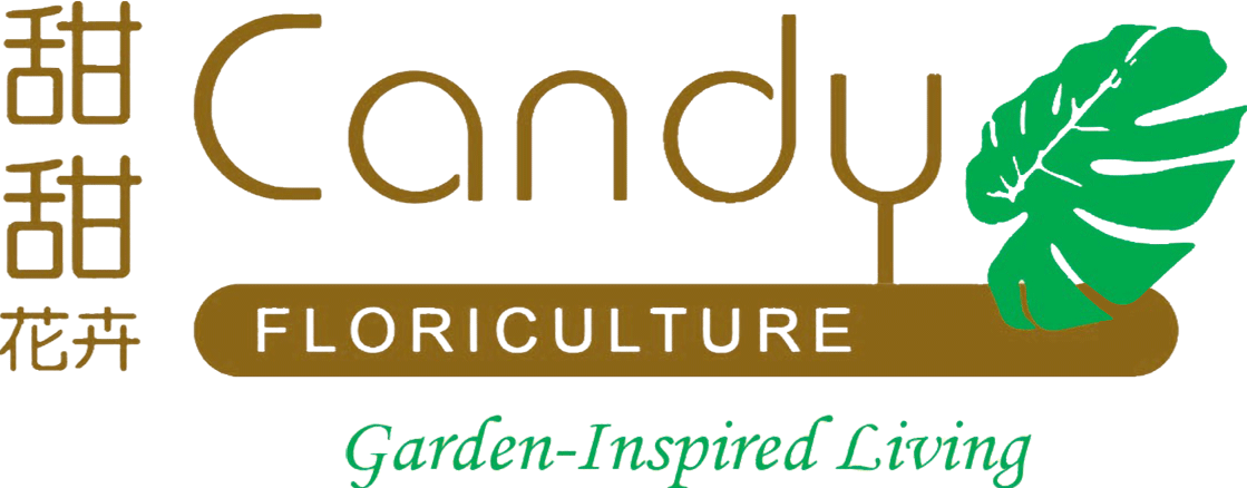 Candy Floriculture Pte Ltd -Plant Boutiques Singapore